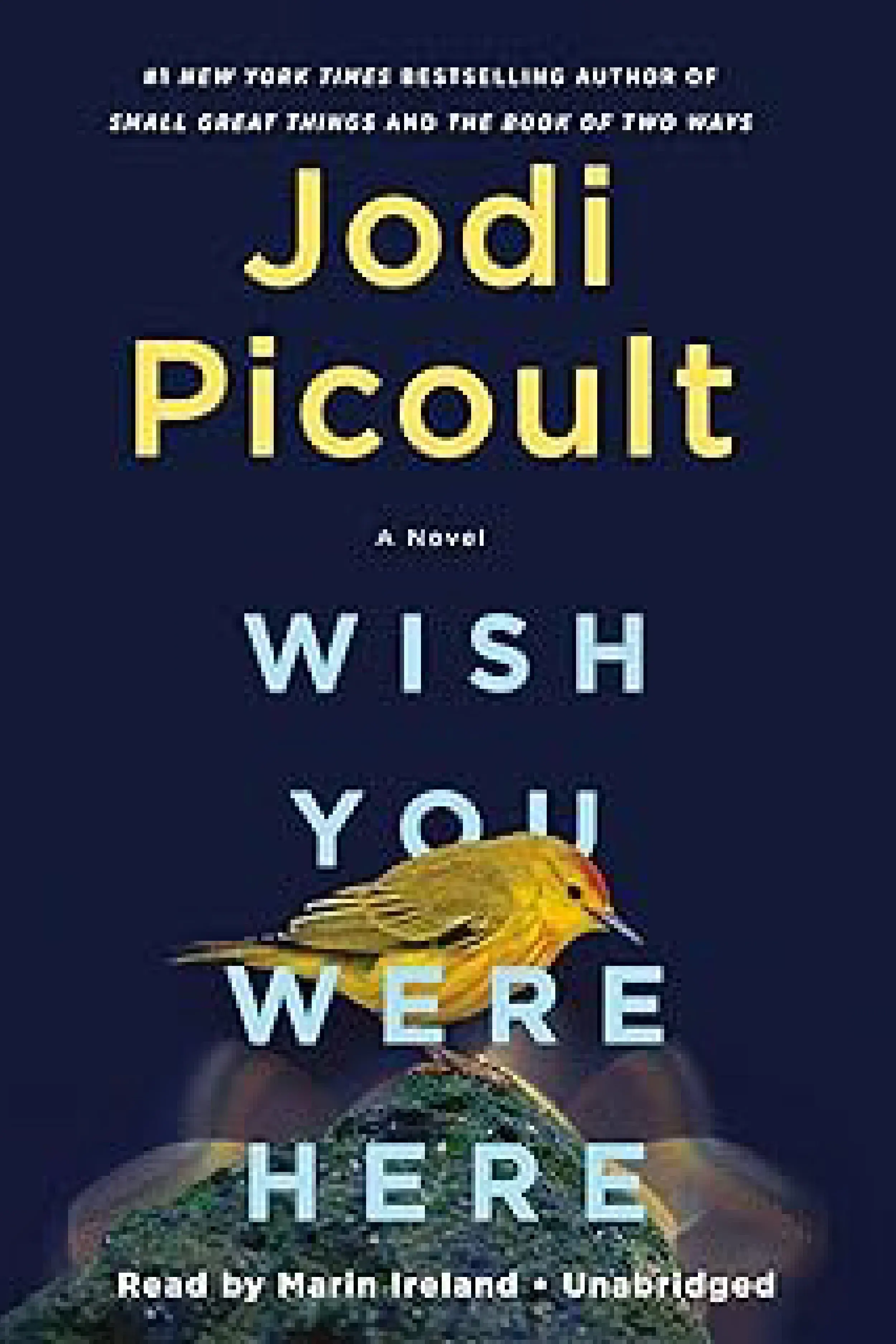 Fiction Book - Grain of Sands